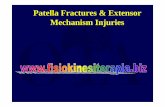 Patella Fractures & Extensor Mechanism InjuriesExtensor Tendon Ruptures • Patellar and quadriceps tendon ruptures are uncommon injuries • Patients are typically males in their