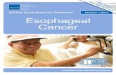 y NCCN Guidelines for Patients Version 1.2015 Esophageal ...€¦ · ESOPHAGEAl CANCEr Aw ArENESS ASSOCiATiON (ECAA) The ECAA strongly supports NCCN’s efforts to provide accurate