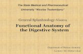 Functional Anatomy of the Digestive System › wp-content › blogs... · Functional Anatomy of the Digestive System ... The stomach has almost a vertical position as well as the