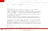 Oracle Solaris 11 Virtualization - Deep WoodsOracle Solaris 11 – Hands On Lab For Oracle employees and authorized partners only. ... management architecture which makes deployment