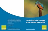 Garden ponds and boggy areas: havens for wildlife · attractive. (See Native plants for your pond, page 12.) Siting your pond Take some time to choose the best site for your pond.
