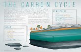 The Carbon Cycle - Research Media › build › ... › The_Carbon_Cycle_Info… · as marine sediments and sedimentary rock Net Flux of carbon to the atmosphere: PgC yr-1 = Pentagrams