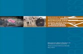 BROOKINGS - Refworld · his report was written by Susanne Schmeidl (The Liaison Office), Alexander D. Mundt (Guest Researcher, Brookings-Bern Project on Internal Displacement) and