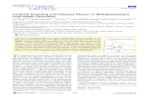 Coulomb Screening and Coherent Phonon in Methylammonium ... · Coulomb Screening and Coherent Phonon in Methylammonium Lead Iodide Perovskites ... ABSTRACT: Methylammonium lead iodide
