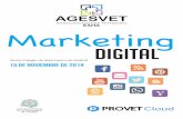 Marketing - GESVILSA › agesvet › marketing2019 › programa marketing.pdfPublicidad online Estrategias de pago y gratuitas para promocionar nuestros productos y servicios y los