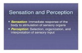 Sensation and Perception - Information Technologyrmm2440/Sensation.pdf · Sensation and Perception Sensation : Immediate response of the body to stimulation of sensory organs Perception