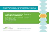 Methamphetamine Lecture Slides - National Institute on ...€¦ · For presentations to preclinical learners, use slides 1–44 and 63–71. For clinical learners, use slides 1–61
