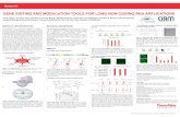 Gene editing and modulation tools for long non-coding RNA ... · GENE EDITING AND MODULATION TOOLS FOR LONG NON-CODING RNA APPLICATIONS P2 5. Functional Validation of Dual-gRNA Vector