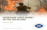 EVERYONE GOES HOME® IN THE WILDLAND · 2018-09-13 · of wildland firefighter death, accident, ... structural firefighters through programs under the ... creasing frequency of wildland