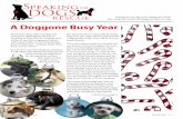 A Doggone busy Year December 2016 - Speaking Of Dogs€¦ · dedicated to educating and enlightening people about dogs through seminars, workshop forums, outreach and rescue. Our