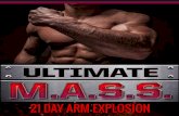ALPHA MUSCLE | ALAIN GONZALEZ ALAIN GONZALEZ 1 › ultimatemass › 21... · 21 DAY ARM EXPLOSION | ALAIN GONZALEZ 4 INTRODUCTION Building bigger arms is probably the most common