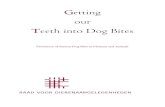 Getting our Teeth into Dog Bites · RDA.2017.031 Prevention of Serious Dog Bites in Humans and Animals 2 Cover letter The Hague, 21 February 2017 Our reference: RDA, 2017.031 Your