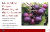 Muscadine Grape Breeding at the University of ArkansasBreeding at the University of Arkansas SRASHS. UA Fruit Breeding Program History • Established in 1964 by Arkansas native Dr.