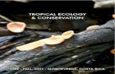cieetropicalecologyandconservation.files.wordpress.com€¦ · !! TABLE OF CONTENTS !! TROPICAL MYCOLOGY & BOTANY! Water quality of Bromeliad vs non-Bromeliad above ground tanks.