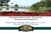Comprehensive Annual Financial Report rpts/2018 leesburg.pdf · Howey-in-the-Hills, Lady Lake, Mascotte, Minneola, Montverde, Mount Dora, Tavares, and Umatilla. The City of Leesburg