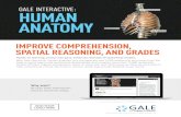 GALE INTERACTIVE: HUMAN ANATOMY - Cengage · Gale Interactive: Human Anatomy, you can separate over 4,300 anatomical structures from the body to reveal layers and anatomical relationships,