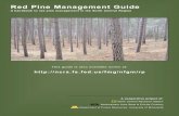 Red Pine Management Guide · 2006-06-05 · Red Pine Management Guide ... as blister rust in white pine that can kill large numbers of trees. Its more common disease problems tend