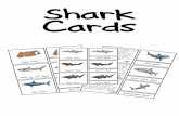 Shark Cards - Simple Living. Creative Learning · tiger shark The tiger sharks are aggressive predators and considered dangerous. Theyare found mostly in tropical and warm waters.