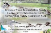 Growing trend towards rice paddy biodiversity …Growing Trend Towards Rice Paddy Biodiversity Enhancement since Ramsar Rice Paddy Resolution X.31 Mr. Masayuki Kurechi, Co-Representative,