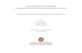 Investing in Wisconsin’s Waterfront...Investing in Wisconsin’s Waterfront An assessment of waterfront brownfields redevelopment in Wisconsin Prepared for the Wisconsin Department