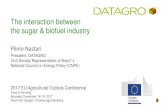 The interaction between the sugar & biofuel industry...The interaction between the sugar & biofuel industry Plinio Nastari President, DATAGRO ... been at center of Brazil´s strategy
