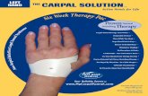 How CARPAL SOLUTION LEFT THE HAND THE › ProdImages › CommonFile › … · This contributes to the hand’s rapid recovery from the pain and numbness of CTS naturally. Imagine