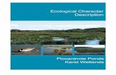 Ecological Character Description for€¦ · ii Ecological Character Description for Piccaninnie Ponds Karst Wetlands. Prepared by: Water’s Edge Consulting and Associates for the