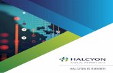 HALCYON AGRI CORPORATION LIMITED > … › 1.0.0 › corporate-announcements › 5YK6...HALCYON AGRI CORPORATION LIMITED > ANNUAL REPORT 2017 2 Macro Drivers Global Growth 3.9% The