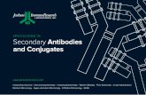 SPECIALIZING IN Secondary Antibodies and Conjugates · Step 2. Select the target species of the secondary antibody. Antibodies are listed alphabetically according to the host species