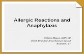 Allergic Reactions and Anaphylaxis - NYSVARA · Allergic Reactions and Anaphylaxis. William Mapes, NRP, I/C. Chief, Brandon Area Rescue Squad. Brandon, VT
