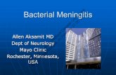 Bacterial Meningitis Conference Addis Ababa, Ethiopia, on ... · Bacterial Meningitis -Clinical Bacterial meningitis incidence approximates 5- 10/100,000 population per year in the
