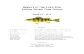 Report of the Lake Erie Yellow Perch Task Group · The lake-wide harvest of Yellow Perch in 2018 was 6.782 million pounds, or 65% of the total 2018 TAC. This was a 13% decrease from