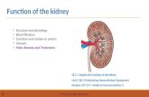 Function of the kidney...Function of the kidney Module 279 19 C Medical Instrumentation II Unit C18.5 Maintaining Haemodialysis Equipment 18.5.1 Explain the function of the kidney