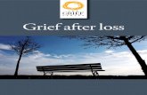 Grief after loss - loss and grief support-Grief 023 Grief after loss_Lآ  you about your loss, the grief