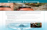 Rainwater Harvesting...garden. A typical rain barrel can fill up after just one rain storm, so use the water you collect on a regular basis to make the most of your rain barrel. Rain