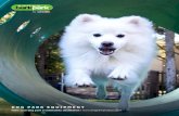 by - Dog Park Equipment | Agility Equipment | Bark Park BarkPark Catalog_WEB.pdfconfidence level. Endurance and balancing capacity are also developed. Mounts inground or surface mounts