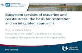 Ecosystem services of estuarine and coastal areas: the ... · Ecosystem services of estuarine and coastal areas: the basis for restoration and an integrated approach? Prof. dr. Patrick