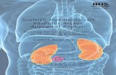 Scottish Haemodialysis Vascular Access Appraisal Report · 2016-03-16 · Scottish Haemodialysis Vascular Access Appraisal Report v ACKNOWLEDGEMENTS The authors wish to record their