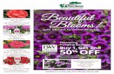 Beautiful Blooms!Miracle Gro Water Soluble Plant Food SALE $12.99 . reg. $14.99 Limit 2. 4 lb box. Instantly feeds to grow bigger, more beautiful plants. A Family Owned Michigan Business
