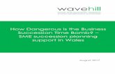 How Dangerous is the Business Succession Time …...succession planning support landscape to invite and encourage business owners to engage with the subject in a timely way. Succession
