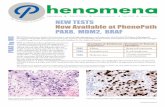 Phenomena: The Newsletter of PhenoPath Laboratories v 12 n 2phenopath.com/uploads/pdf/newsletterv12n2.pdf · 1-888-92-PHENO t T h e N e w sl et r o f P h e n o P a h P henomena Laboratories