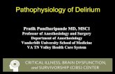 Pathophysiology of Delirium · Disclosure • Research grant from Hospira Inc. in collaboration with NIH • Salary support – Vanderbilt Physician Scientist Award (2003- 2005)