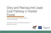 Grey and Red squirrel Least Cost Pathway in Kielder Forest€¦ · Grey and Red squirrel Least Cost Pathway in Kielder Forest A Machine Learning and GIS-Based approach LIFE14 NAT/UK/000467
