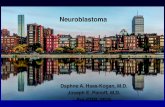Neuroblastoma - QARC · Neuroblastoma! Derived from sympathetic nervous system! Most common extra-cranial solid tumor of childhood! Most common malignancy in newborn period! Outcome