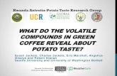 WHAT DO THE VOLATILE COMPOUNDS IN GREEN ...faculty.washington.edu/jackels/research/Rwanda...•Green coffee aroma is not as intense as roasted coffee •Need longer sampling time •Anecdotes