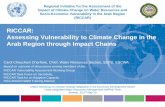 RICCAR: Assessing Vulnerability to Climate Change in the ......RICCAR: Assessing Vulnerability to Climate Change in the Arab Region through Impact Chains Carol Chouchani Cherfane,