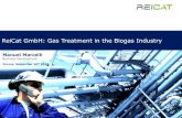 ReiCat GmbH: Gas Treatment in the Biogas Industry€¦ · Biogas Purified gas according to D.Lgs. 152/06 Application of ReiCat`s Units – Biogas CO 2 Purification up to Food Grade