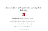 Shadow Price of Water Under Varying Risk Behaviorpubdocs.worldbank.org/en/195731474052646082/6B-2-Sankalp-Sharma.pdfPresentation prepared for IWREC, 2016 7 Theoretical model Let 𝜋be