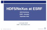 HDF5/NeXus at ESRF - The HDF GroupHDF5/NeXus –ESRF Interpretation for Raw Data Page 7 HDF5 Worshop l 17 Sep. 2019 l V.A. Solé NXroot Top level. One per file. NXentry One group per