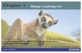 Chapter 1 Biology: Exploring Life€¦ · 1.1 All forms of life share common properties §Biology is the scientific study of life. §Properties of life include 1.Order—the highly